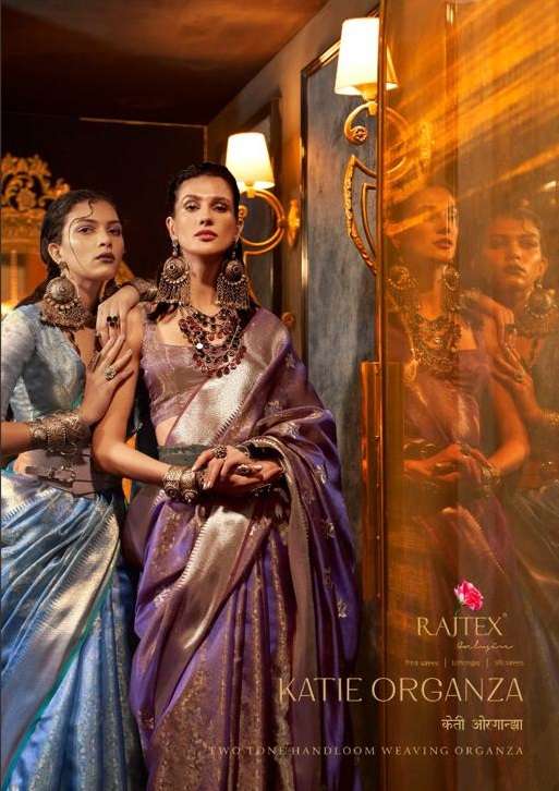 KATIE ORGANZA BY RAJTEX 317001 TO 317006 SERIES HANDLOOM ORGANZA WORK SAREES